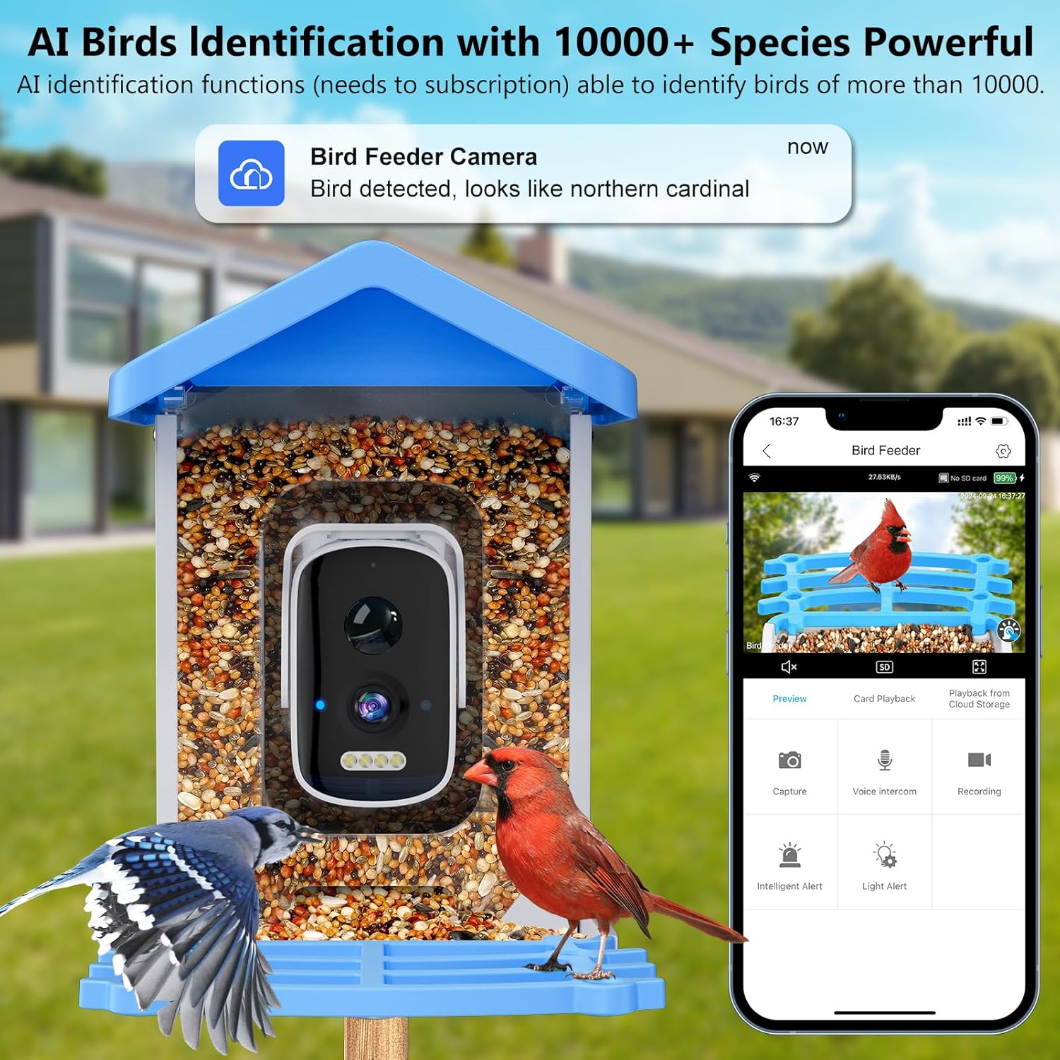 Smart Garden Ai - Comedero Inteligente para Pájaros con Cámara,