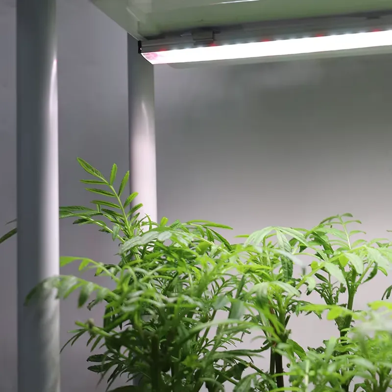 Smart Garden Box - Jardinera Inteligente Vertical Móvil de 3