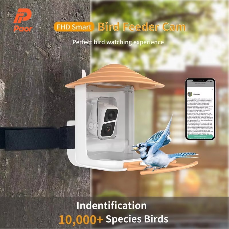 Smart Garden Ai - Comedero para Pájaros Inteligente con IA
