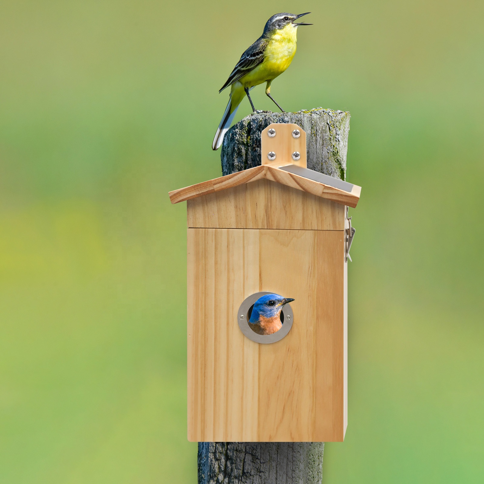 Smart Garden Ai - Nanxin-cámara para pájaros, casa inteligente AI