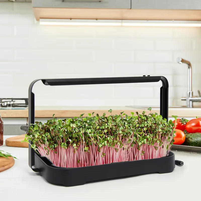 Smart Garden Kit - Bandeja Hidropónica para Interiores, Sistema de