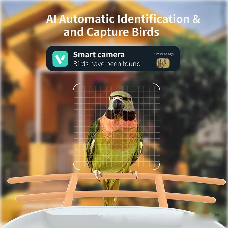 Comedero Inteligente para Pája - Smart Garden Ai reseña y precio