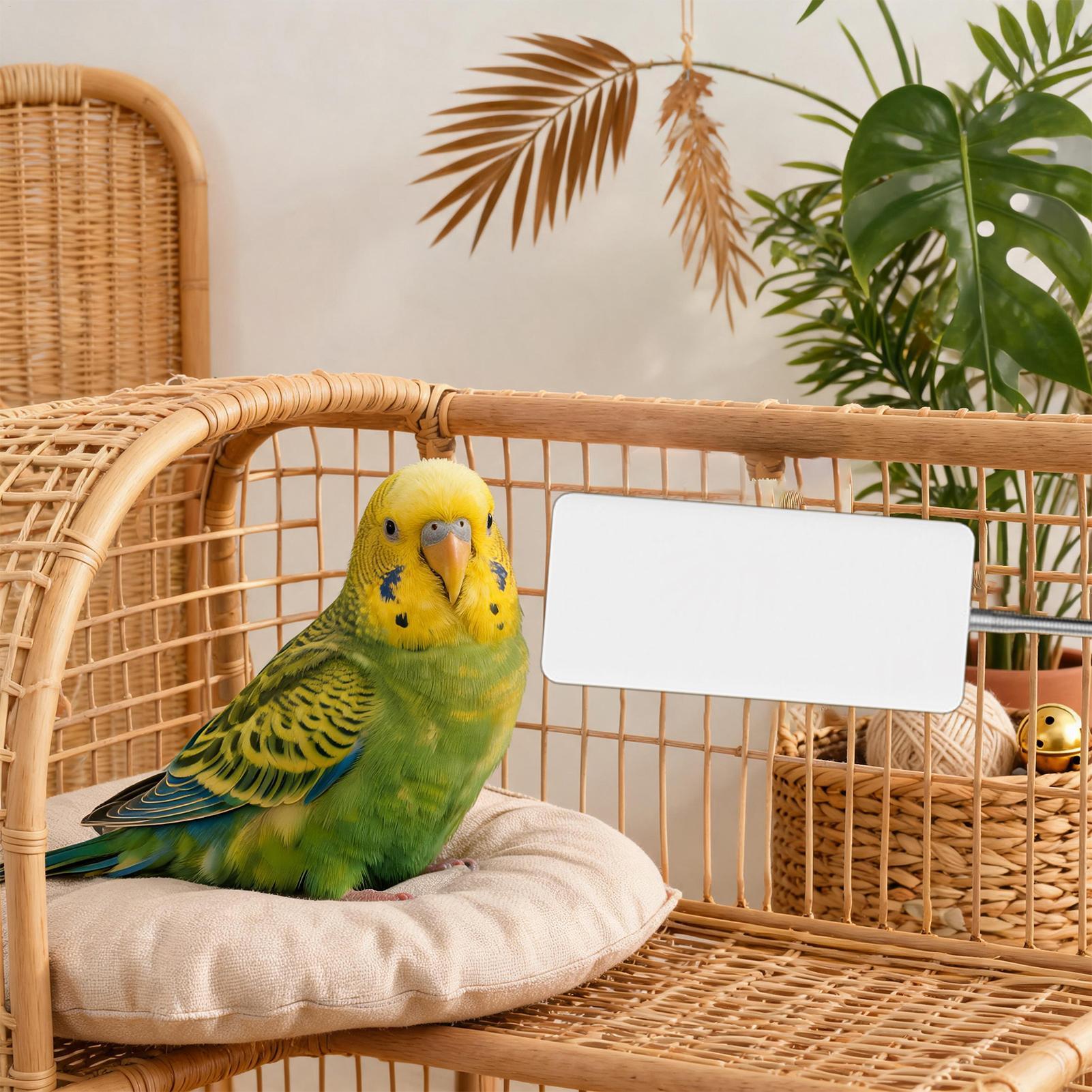 Calentador para Mascotas 5V, E - Smart Garden Bird Bath reseña y precio