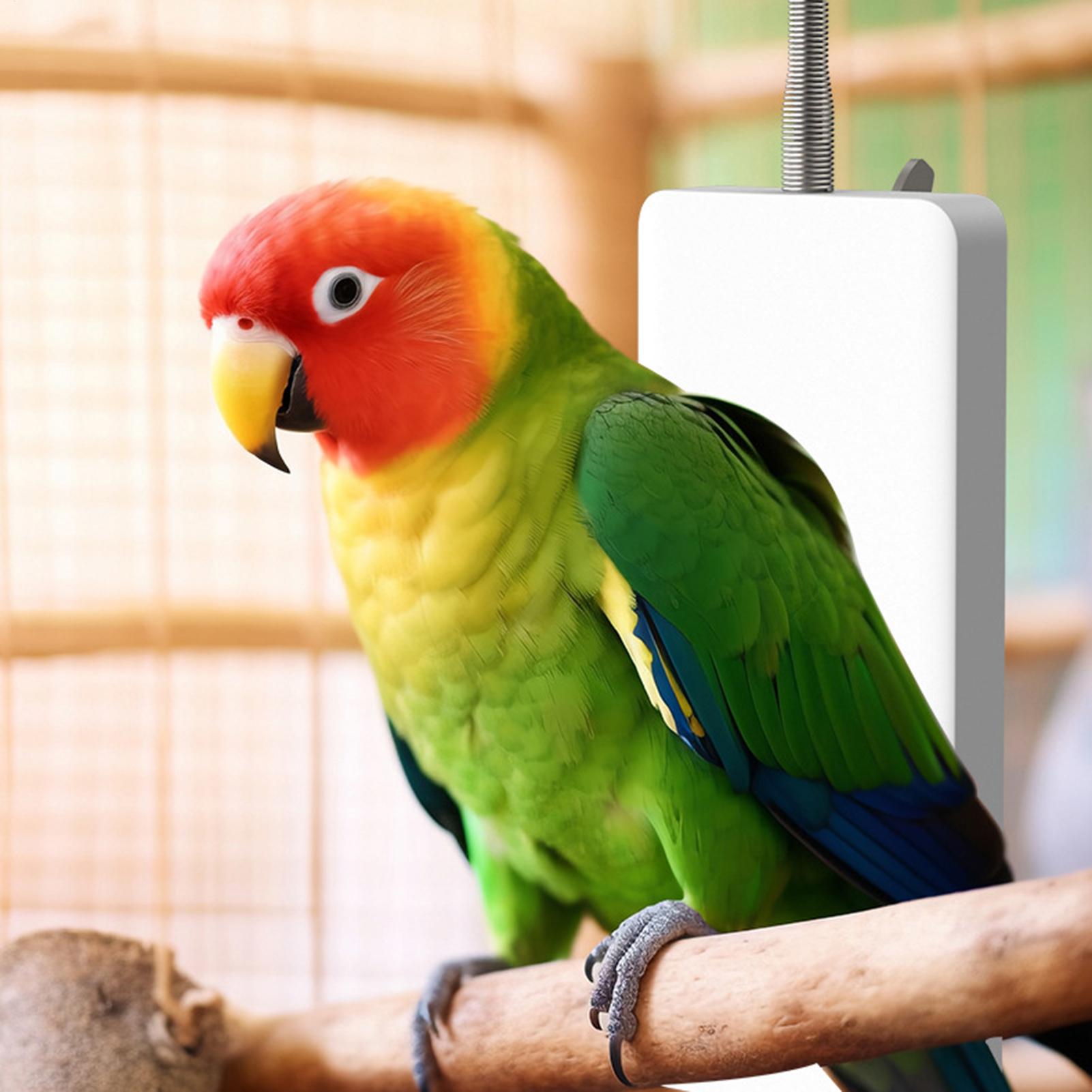 Calentador para Mascotas 5V, E - Smart Garden Bird Bath reseña y precio