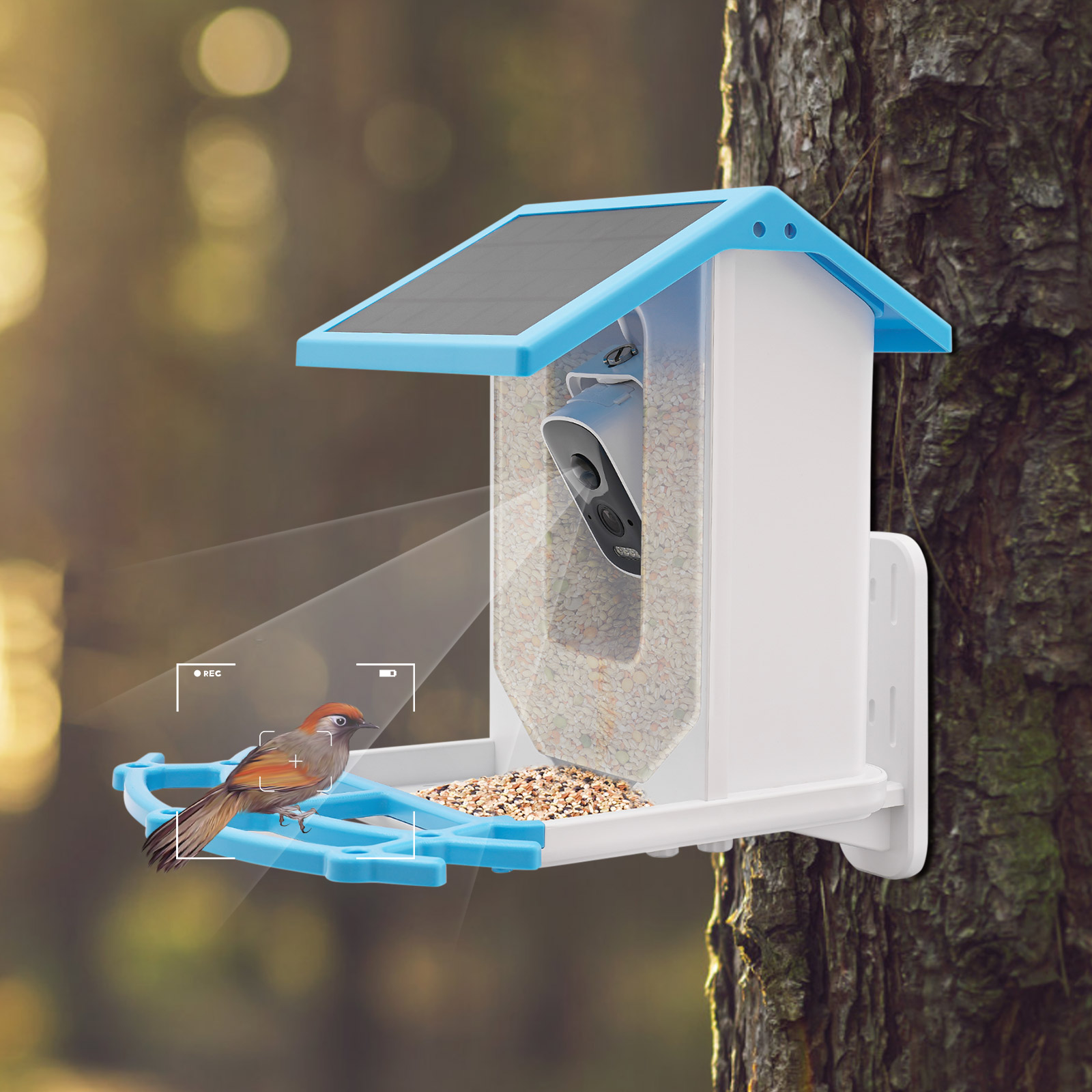 Comedero Inteligente para Pája - Smart Garden Ai reseña y precio