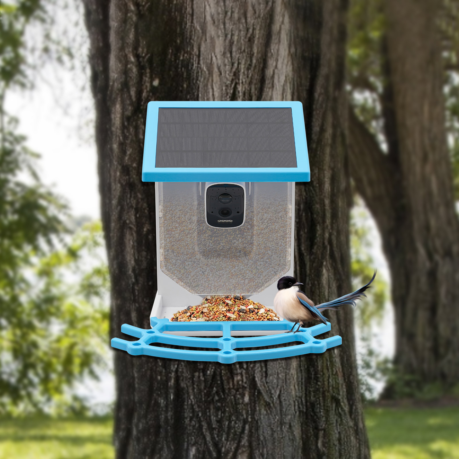 Comedero Inteligente para Pája - Smart Garden Ai reseña y precio