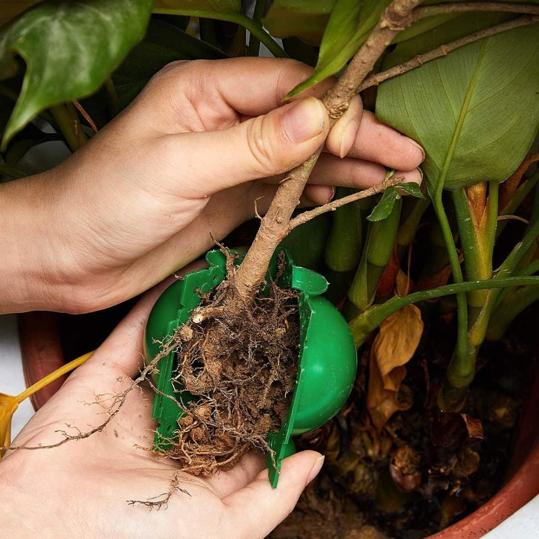 Bolas Reutilizables para Enrai - Smart Garden Box reseña y precio