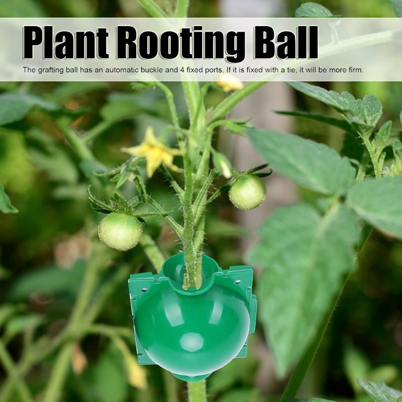 Bolas Reutilizables para Enrai - Smart Garden Box reseña y precio