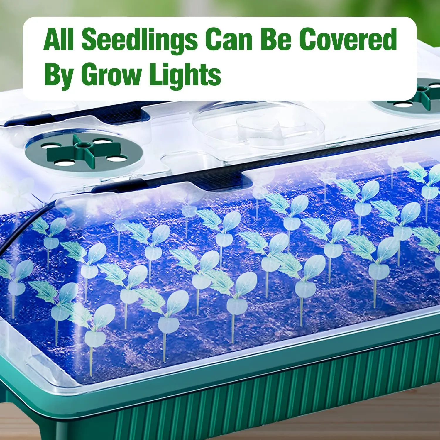 2 paquetes, bandejas de germin - Smart Garden Domes reseña y precio