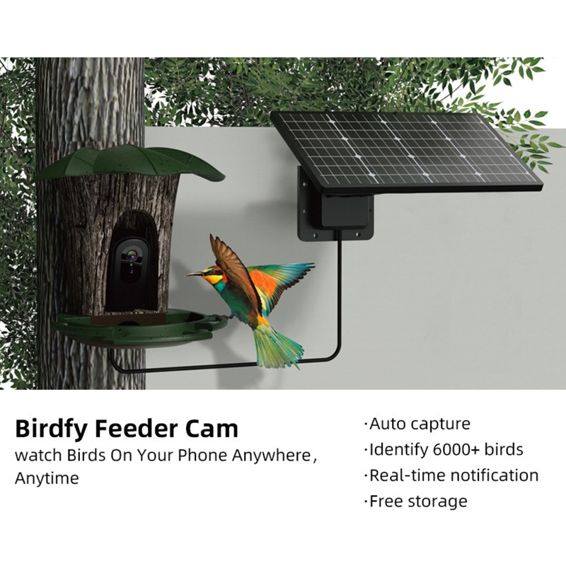 Solar AI Smart Bird Feeder Bir - Smart Garden Ai reseña y precio