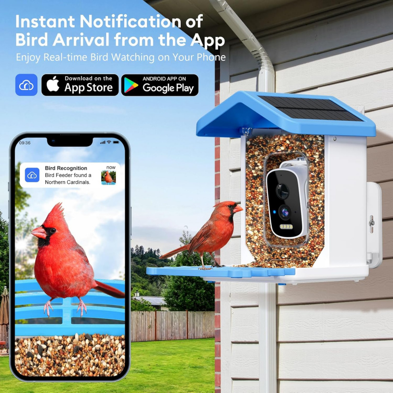 Comedero inteligente para pája - Smart Garden Ai reseña y precio