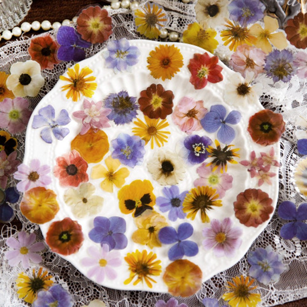 Pegatinas Florales para Diario - Garden Journal Planner reseña y precio