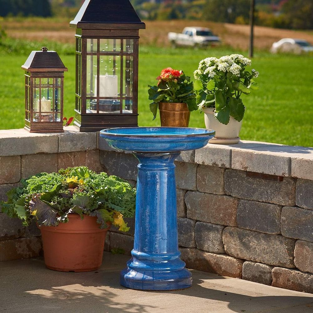 Smart r Aviatra - Baño para Pá - Smart Garden Bird Bath reseña y precio